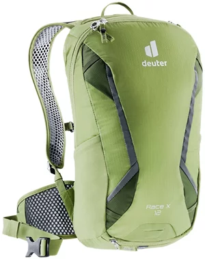 Рюкзак Deuter Race X Pistachio-Pine