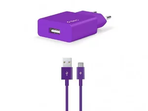 Зарядное устройство Ttec Smart Travel Purple