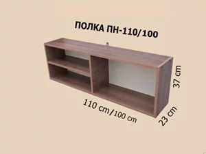 Полка PS ПН-100 + дверь