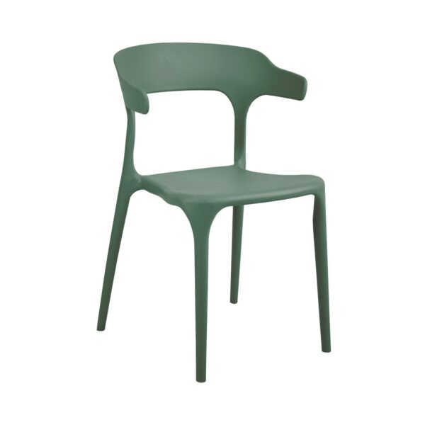 Scaun de bucatarie DP Spring Green