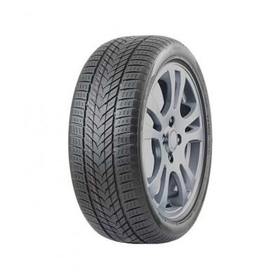 Anvelope Arivo Winmaster ProX ARW5 265/50 R20 111H XL